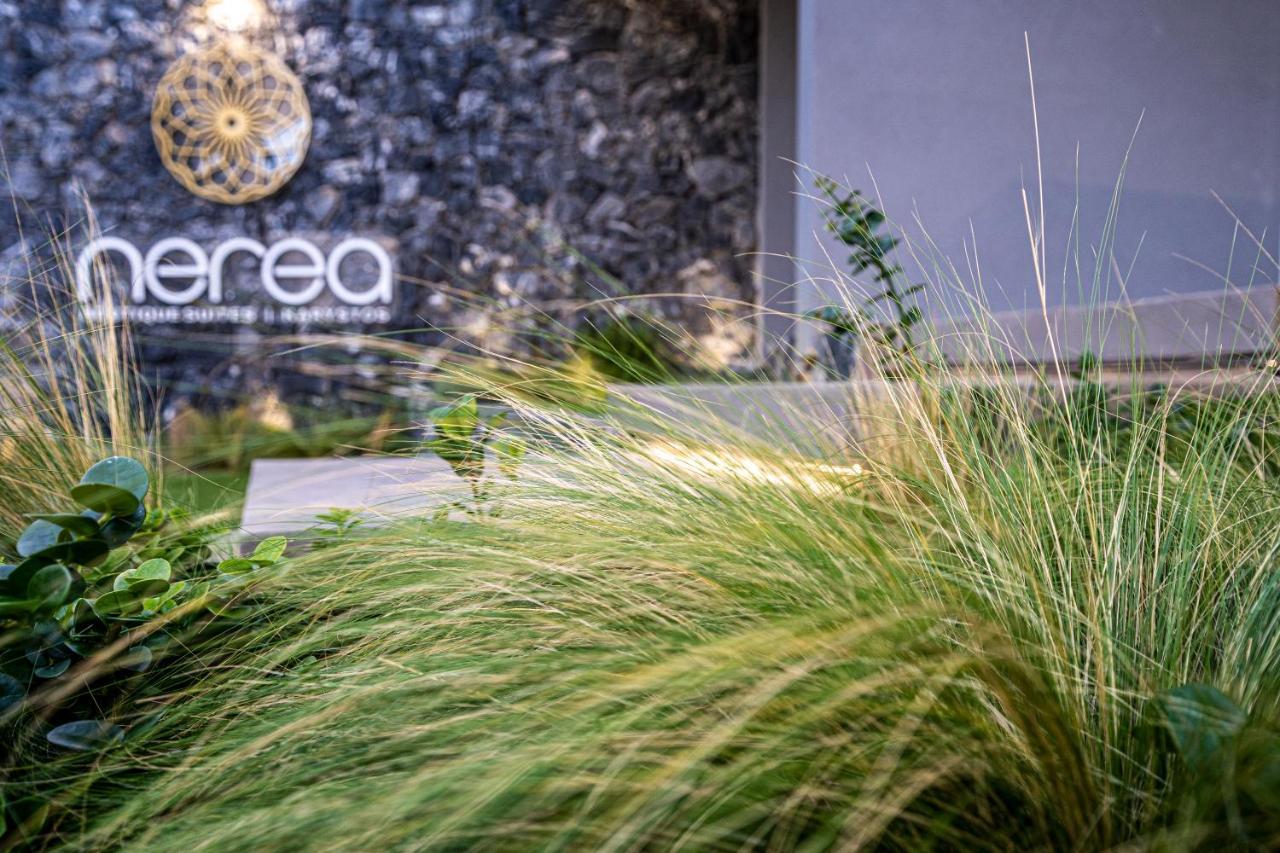 Nerea Boutique Suites Karystos Exteriör bild